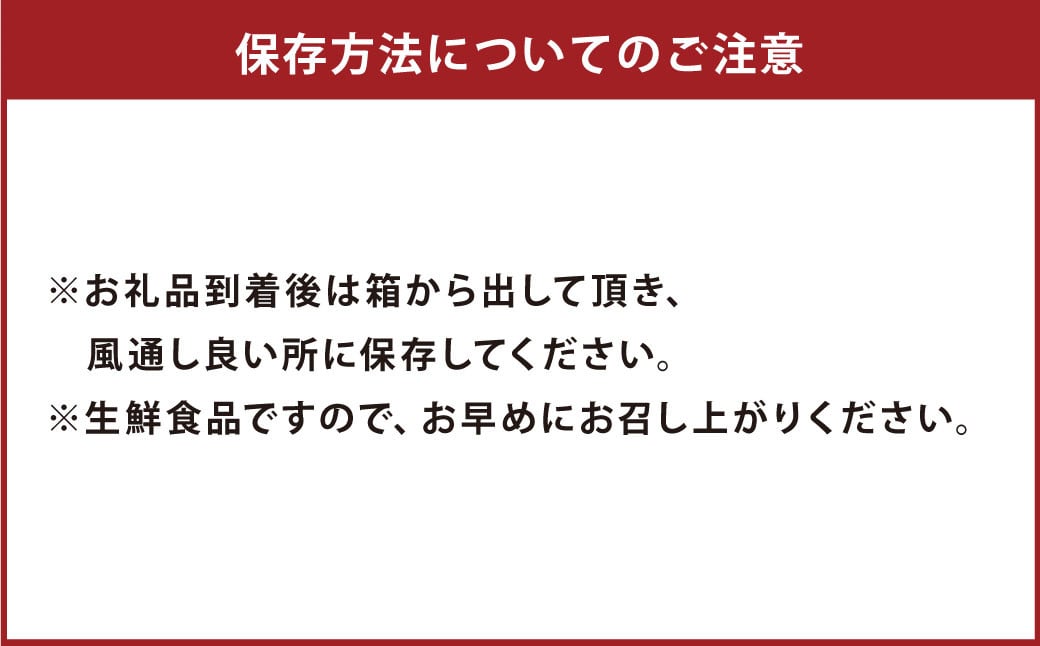 【先行受付】特別栽培パール柑（天草文旦） 9kg サイズミックス パール柑 文旦 天草文旦 柑橘 フルーツ 果物 果実 九州産 熊本県産【2025年2月下旬から4月上旬発送予定】