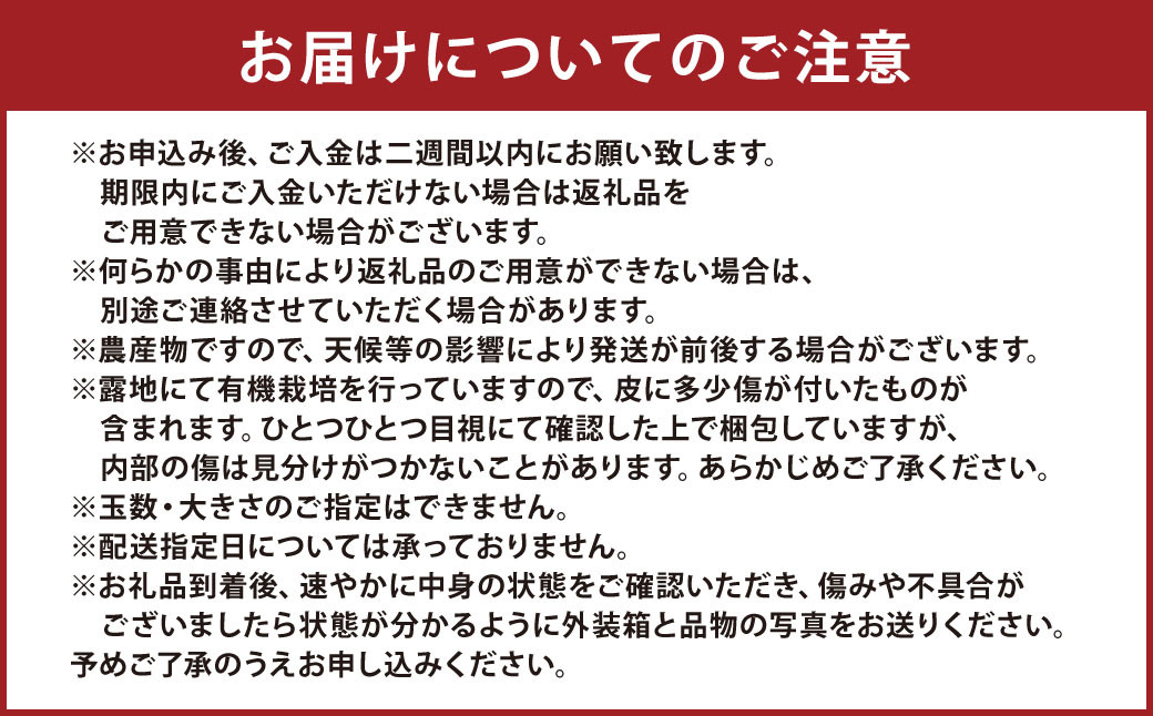 【先行受付】特別栽培不知火 5kg サイズミックス  特別栽培 不知火 柑橘 デコポン でこぽん フルーツ 果物 果実 九州産 熊本県産【2026年3月上旬から4月上旬発送予定】