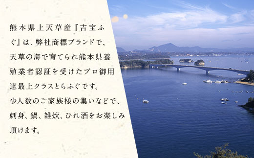 åœç£é€æ®ïŒãšããµãç°¡å調çã§å³ãããã»ãã åå®ãµã 1.3kg ãµã æ²³è± ãã° ãšããµã ãã©ãã° ç°¡å調ç åºèº« é ããæã ã²ãé
åºæ± 3ïœ4人å çæ¬ç äžå€©èåž ã2025幎10æäžæ¬ãã2026幎4æäžæ¬çºééå§ã