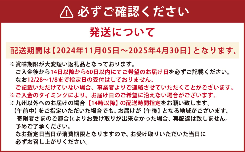 天草産活車海老 400g 12〜17尾 活き車海老 車海老 車エビ 活き海老 活きエビ えび 海老 エビ 新鮮 魚介 【発送期間2024年11月05日から2025年4月30日】