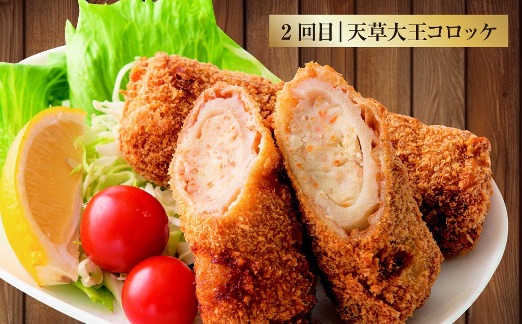 【5回定期便】ご飯の味方定期便 ハンバーグ コロッケ 大砲巻き メンチカツ 定期 定期便 5種 揚げ物 惣菜 おかず 冷凍 国産 九州産 熊本県 上天草市
