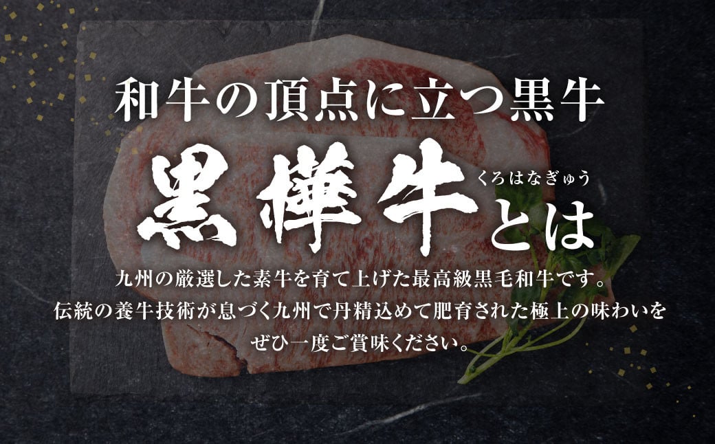 【定期便】黒樺牛【3回定期便】 ロースステーキ 400g （200g×2パック） 合計1.2kg お肉 肉 牛肉 ブランド黒毛和牛 和牛 黒毛和牛 ブランド牛 ステーキ ロースステーキ 冷凍 国産 九州産 冷凍