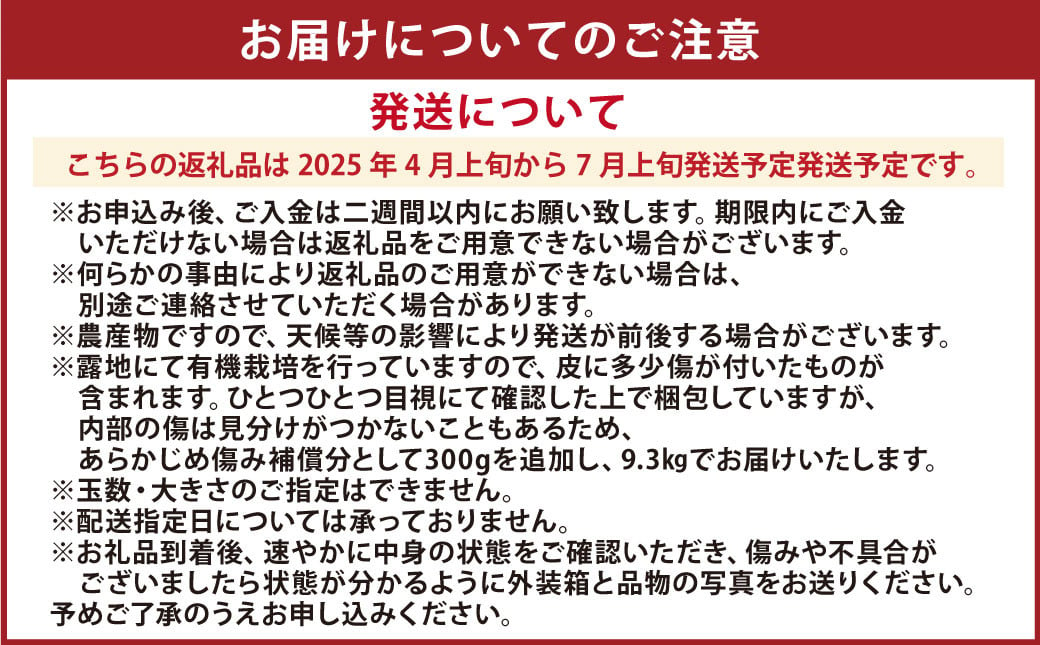 【先行受付】特別栽培河内晩柑 7kg サイズミックス 河内晩柑 晩柑 ばんかん 柑橘 みかん 果物 フルーツ【2025年4月上旬から7月上旬発送開始】