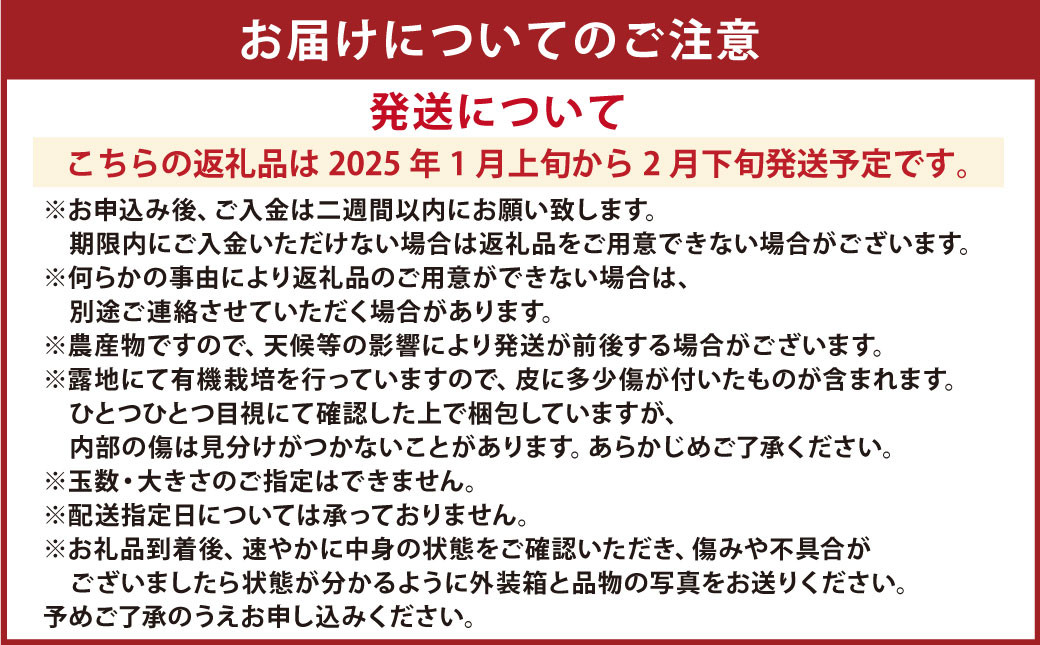 【先行受付】特別栽培ポンカン 10kg サイズミックス 柑橘 ポンカン ぽんかん フルーツ 果物 果実 九州産 熊本県 上天草市【2025年1月上旬から2月下旬発送予定】