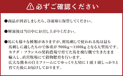 鮮馬刺し 赤身 ユッケ 10個 セット 約500g 50g×10個 馬肉 お肉 肉 馬刺し