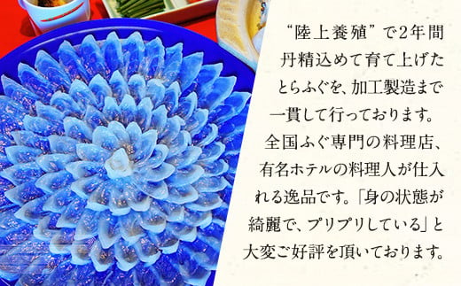 とらふぐ「鍋」セット 吉宝ふぐ『コラーゲンボール/焼きひれ/特製ポン酢/もみじおろし付き』 ふぐ 河豚 フグ とらふぐ トラフグ 鍋 ふぐ鍋 雑炊 ひれ酒 熊本県 上天草市