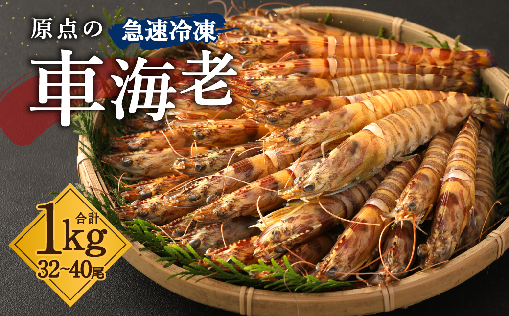 原点の車海老 ｢急速冷凍｣ 1kg (32〜40尾) 500g×2パック 【2026年10月上旬より順次発送予定】