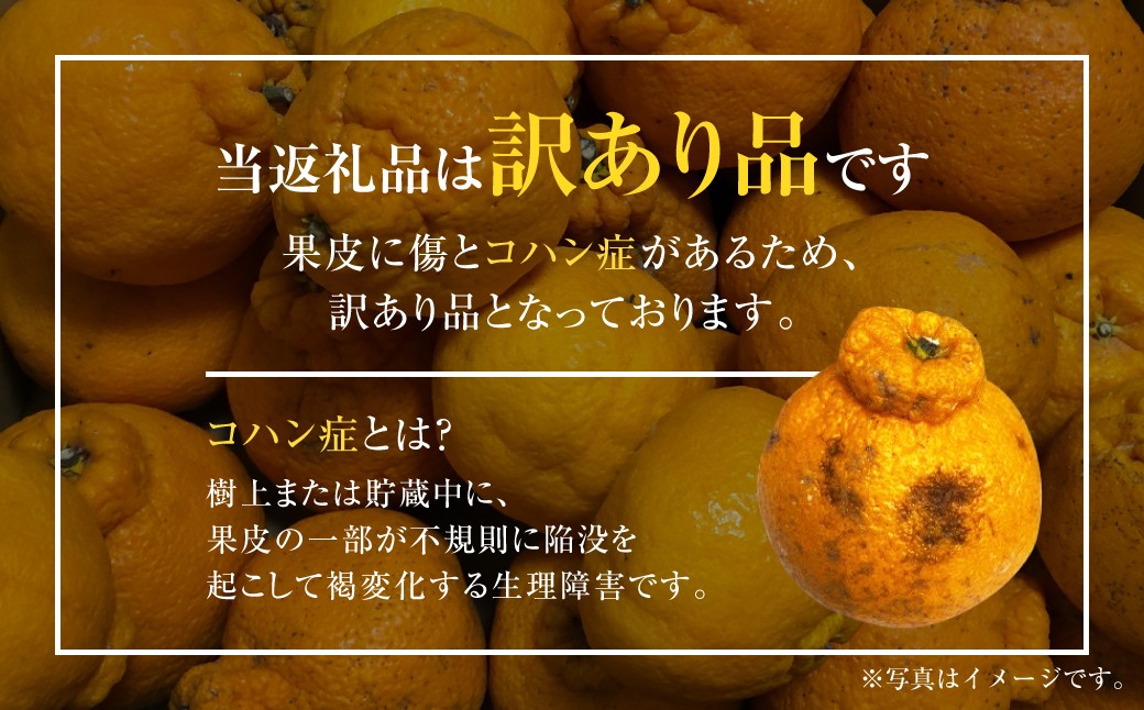 【先行受付】【数量限定】【訳あり】不知火 約5kg 訳あり 訳アリ 柑橘 フルーツ 果物 果実 くだもの みかん 蜜柑 ミカン 九州産 熊本県 上天草市【2026年2月下旬から3月下旬順次発送】