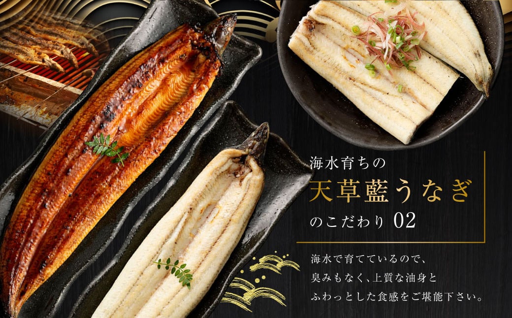 ããã·ã¥ã©ã³æä»ãã®ãããæçšã1æ¥10ã»ããéå®ïŒæµ·æ°Žè²ã¡ã®å€©èèããªã çŽ
çœ3ïœ4å°Ÿã»ãããåèšçŽ600gãæ°ééå®!! é°» ãŠãã® ããªã ããªãè²çŒ é°»ã®è²çŒ ããªã åœç£ çœçŒã