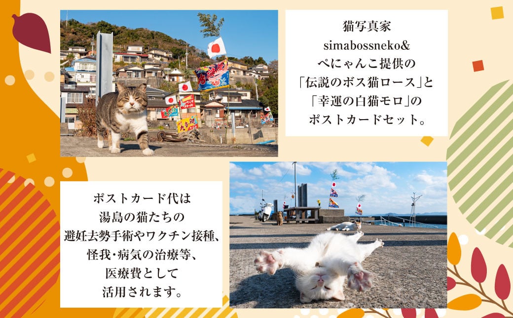 ねこの島！湯島！オリジナルポストカード【地域猫活動支援】 猫 ねこ ネコ オリジナルグッズ ポストカード 2種 セット 猫島 猫の島 湯島 熊本県 上天草市