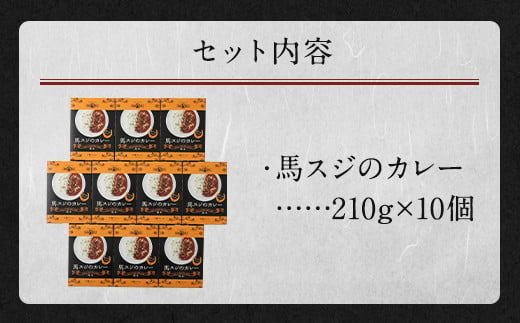 馬スジのカレー 10食セット 10人前 合計2.1kg 馬スジ 馬肉 カレー レトルト