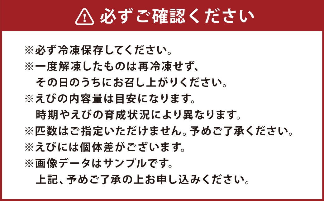 森さん家の冷凍車えび 活き〆冷凍車海老750g（約24～45尾）車海老 くるまえび 車えび 国産 天草の海 冷凍【2027年3月下旬まで順次発送予定】
