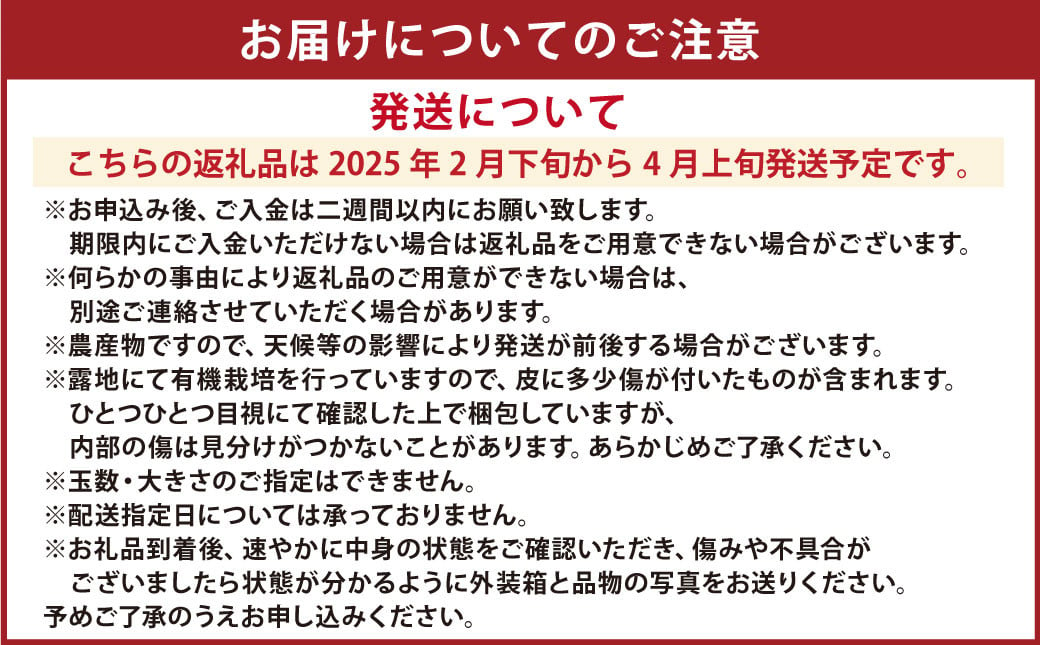 【先行受付】特別栽培パール柑（天草文旦） 9kg サイズミックス パール柑 文旦 天草文旦 柑橘 フルーツ 果物 果実 九州産 熊本県産【2025年2月下旬から4月上旬発送予定】