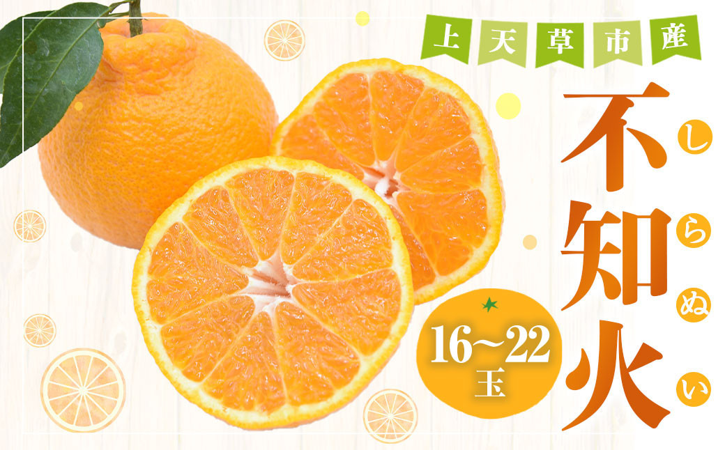【先行受付】不知火 約5kg（16玉～22玉） 柑橘 みかん 蜜柑 ミカン デコポン フルーツ 果物 果実 カットフルーツ 天草 熊本県 上天草市 【2026年3月下旬から5月上旬順次発送予定】