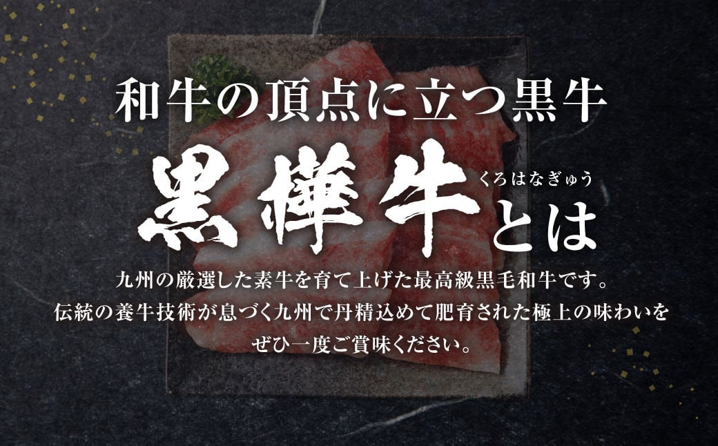 黒樺牛 焼肉用カルビ 750g（250g×3パック） お肉 肉 牛肉 ブランド黒毛和牛 和牛 黒毛和牛 ブランド牛 焼き肉 焼肉 BBQ バーベキュー カルビ 冷凍 国産 九州産 冷凍