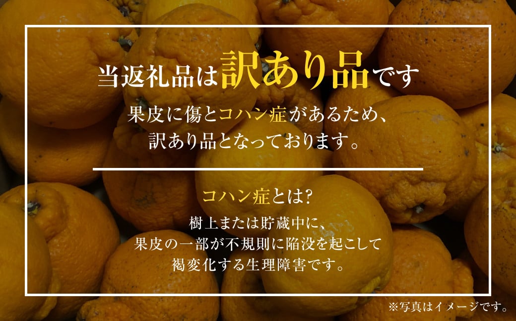 【先行受付】【数量限定】【訳あり】不知火 約5kg 訳あり 訳アリ 柑橘 フルーツ 果物 果実 くだもの みかん 蜜柑 ミカン 九州産 熊本県 上天草市【2025年2月下旬から3月下旬順次発送】