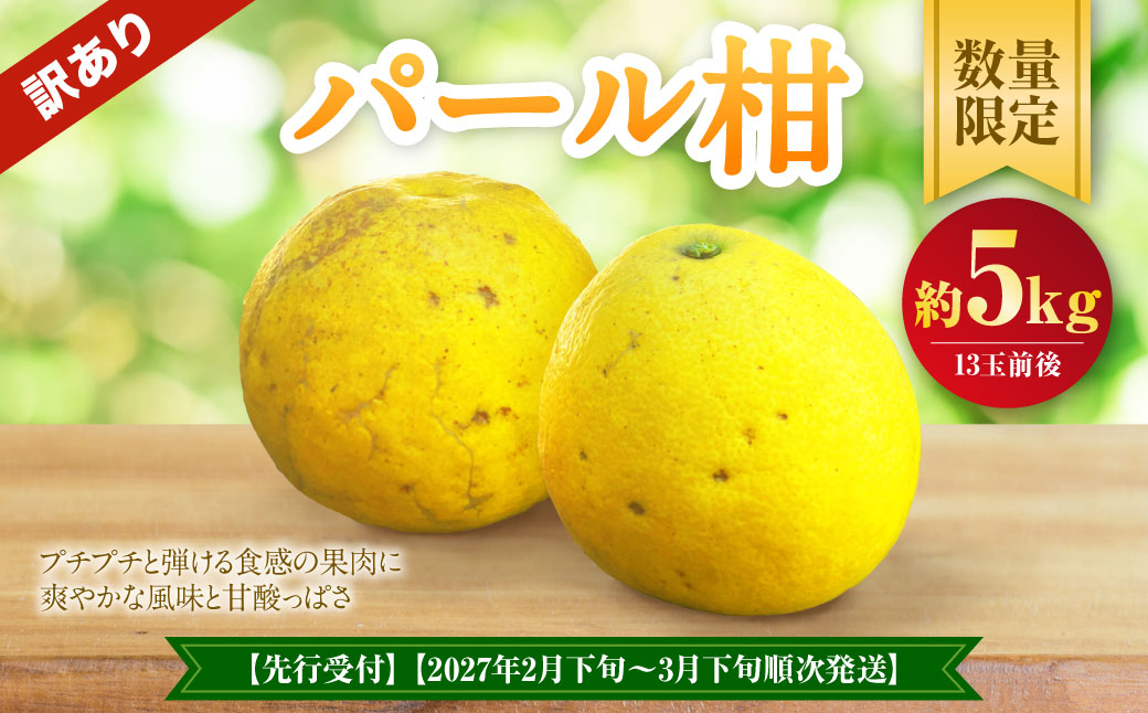 【先行受付】【数量限定】【訳あり】パール柑 約5kg 13玉前後 訳あり 訳アリ 柑橘 フルーツ 果物 果実 くだもの 九州産 熊本県 上天草市【2027年2月下旬～3月下旬順次発送】
