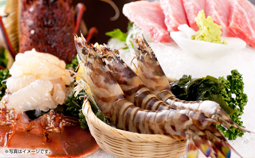 ãé
éæå®æ¥å¿
é ã倩èç£ æŽ»è»æµ·è 600gïŒ15ã25å°Ÿå
¥ãïŒãçºéæé2025幎11æ5æ¥ãã2026幎3æ31æ¥ãæŽ»ãæµ·è åºèº« è»ãšã ã㳠掻ãè»æµ·è è»ãã³