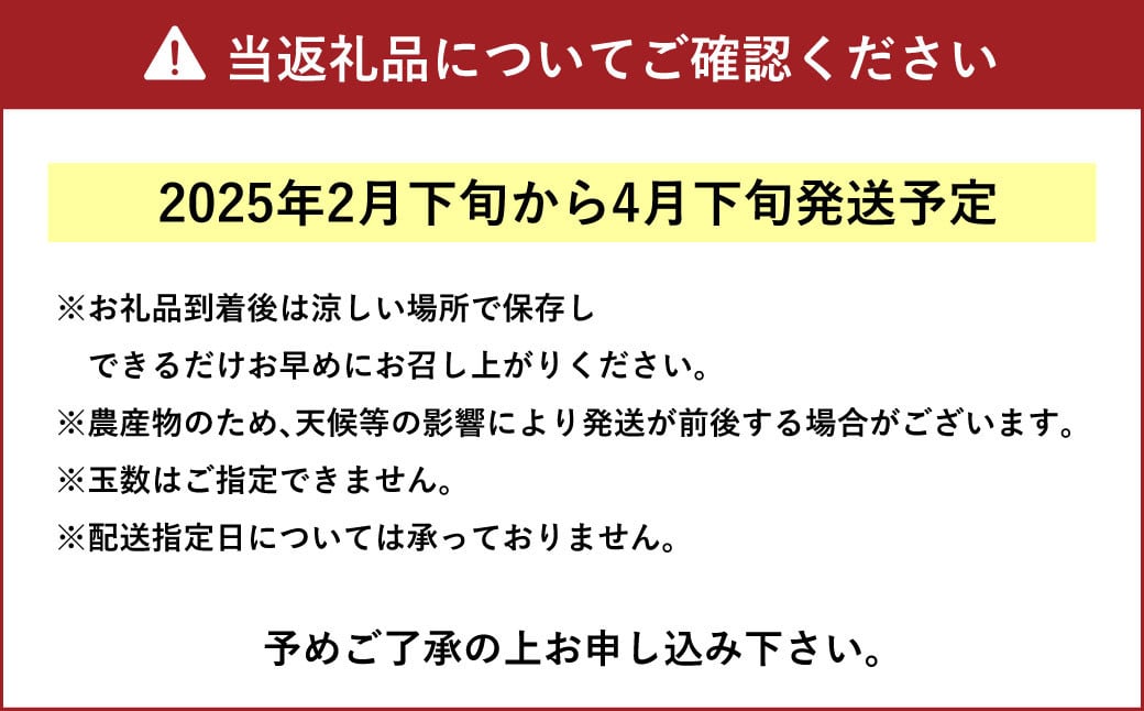 【先行受付】上天草市産 パール柑 約6kg 12玉前後 柑橘 フルーツ 果物 果実 熊本県 上天草市【2025年2月下旬から4月下旬順次発送予定】