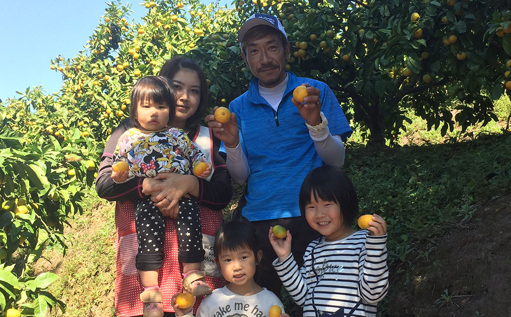 【先行受付】特別栽培不知火 5kg サイズミックス  特別栽培 不知火 柑橘 デコポン でこぽん フルーツ 果物 果実 九州産 熊本県産【2026年3月上旬から4月上旬発送予定】