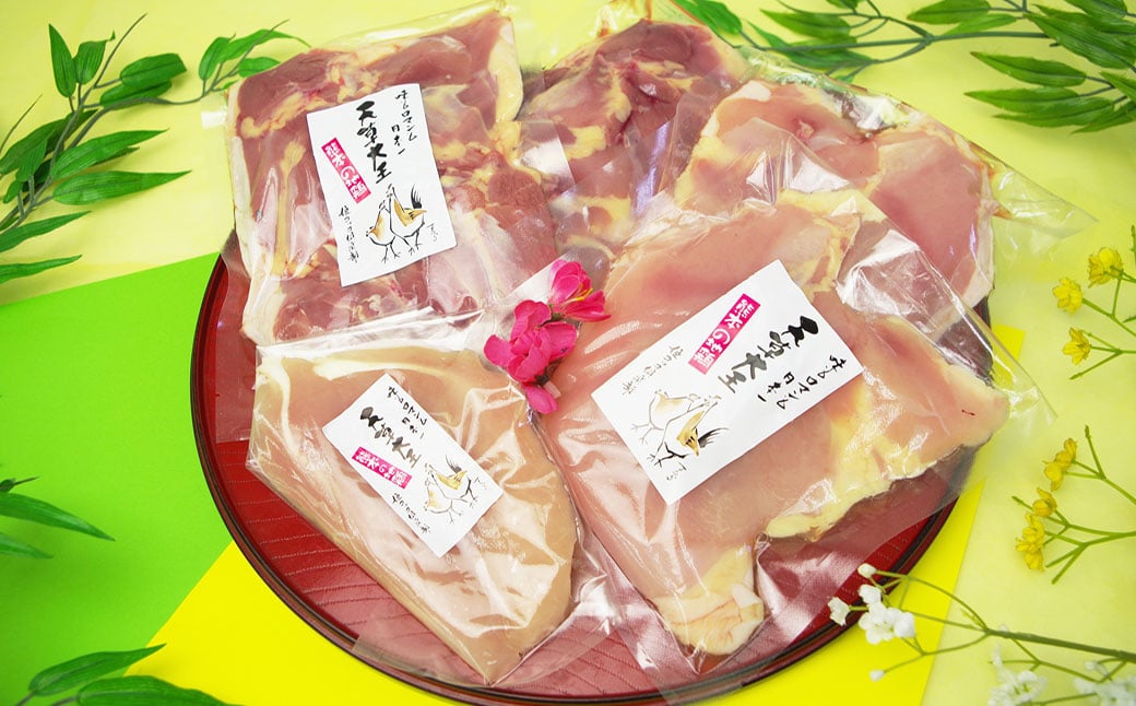 天草大王精肉セット（モモ、ムネ、ササミ） 約1.5kg×3セット 計約4.5kg 天草大王 モモ ムネ ササミ