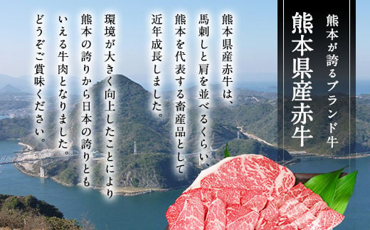 【6ヶ月定期便】熊本県産赤牛ハンバーグ 1.5kg（150g×10個）