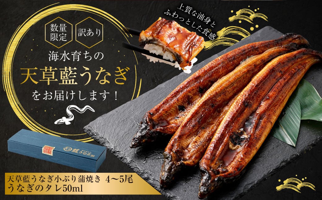 【数量限定】 【訳あり】 【ミシュラン星付きのプロが愛用】海水育ちの 天草 藍うなぎ 小ぶり 蒲焼 500g（4～5尾）  養殖期間中 無投薬 鰻 ウナギ うなぎ うなぎ蒲焼 鰻の蒲焼 国産