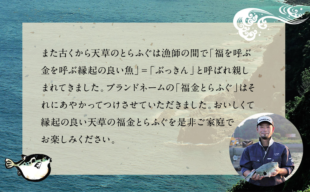上天草産『福金とらふぐ』のボリューム満点得々 600g 加熱用 トラフグ とらふぐ ふぐ 河豚