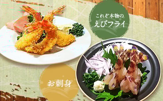 【上天草ブランド認証品】 匠の車えび【活き締め急速冷凍】600g(18尾～24尾) 車海老 刺身 車えび えび 車エビ エビ