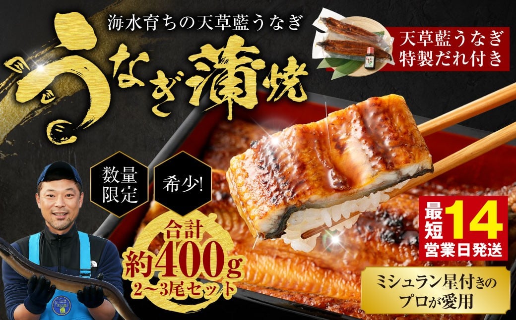 【ミシュラン星付きのプロが愛用】1日10セット限定！海水育ちの天草藍うなぎ 蒲焼き 2～3尾セット【合計約400g】数量限定!! 鰻 ウナギ うなぎ うなぎ蒲焼 鰻の蒲焼 うなぎ 国産