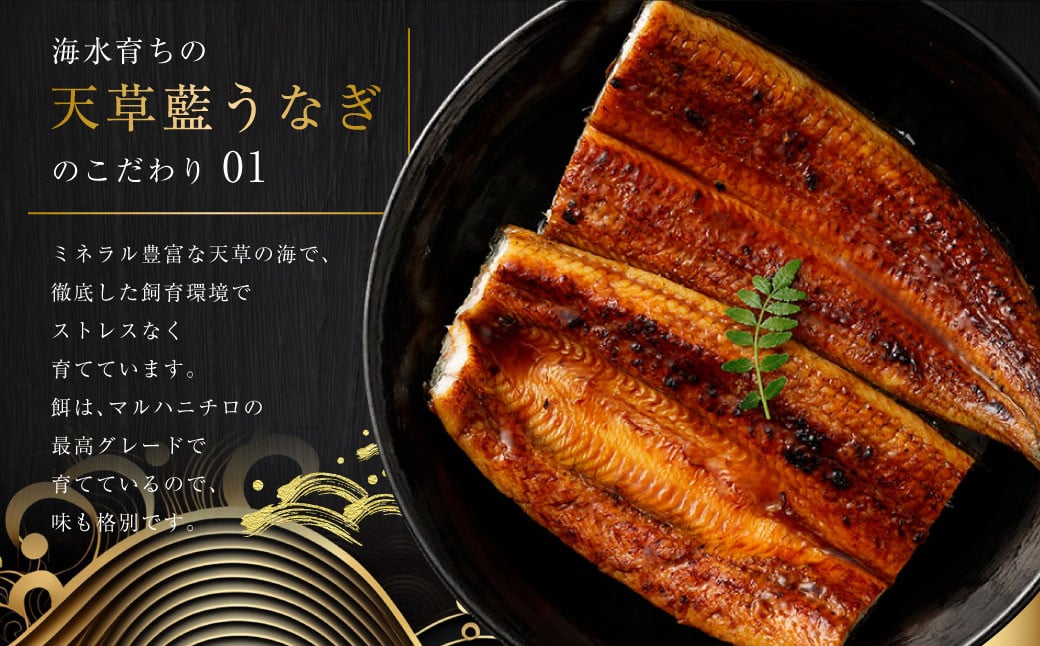 ããã·ã¥ã©ã³æä»ãã®ãããæçšã1æ¥10ã»ããéå®ïŒæµ·æ°Žè²ã¡ã®å€©èèããªã çŽ
çœ3ïœ4å°Ÿã»ãããåèšçŽ600gãæ°ééå®!! é°» ãŠãã® ããªã ããªãè²çŒ é°»ã®è²çŒ ããªã åœç£ çœçŒã