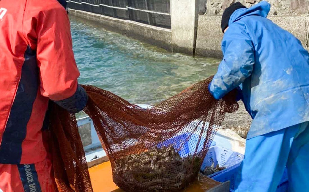 急速冷凍車海老 750g（21-42尾） 海老 えび エビ 車海老 車エビ クルマエビ 冷凍 熊本県 上天草市