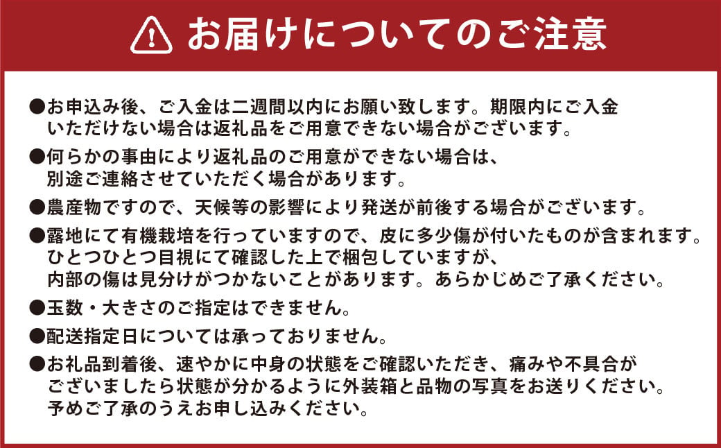 【先行受付】 有機JAS 新玉ねぎ 5kg 【2025年3月上旬から4月上旬発送予定】玉ねぎ 新たまねぎ 玉葱 たまねぎ 新玉 新玉葱 野菜