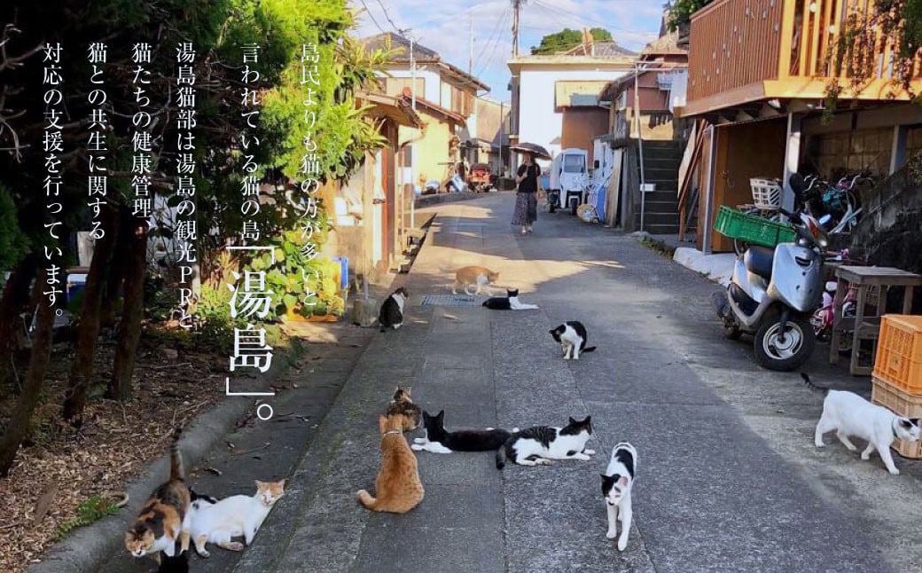 ねこの島！湯島！オリジナルステッカー【地域猫活動支援】 猫 ねこ ネコ オリジナルグッズ 猫グッズ ロゴステッカー ステッカー 猫島 猫の島 湯島 熊本県 上天草市