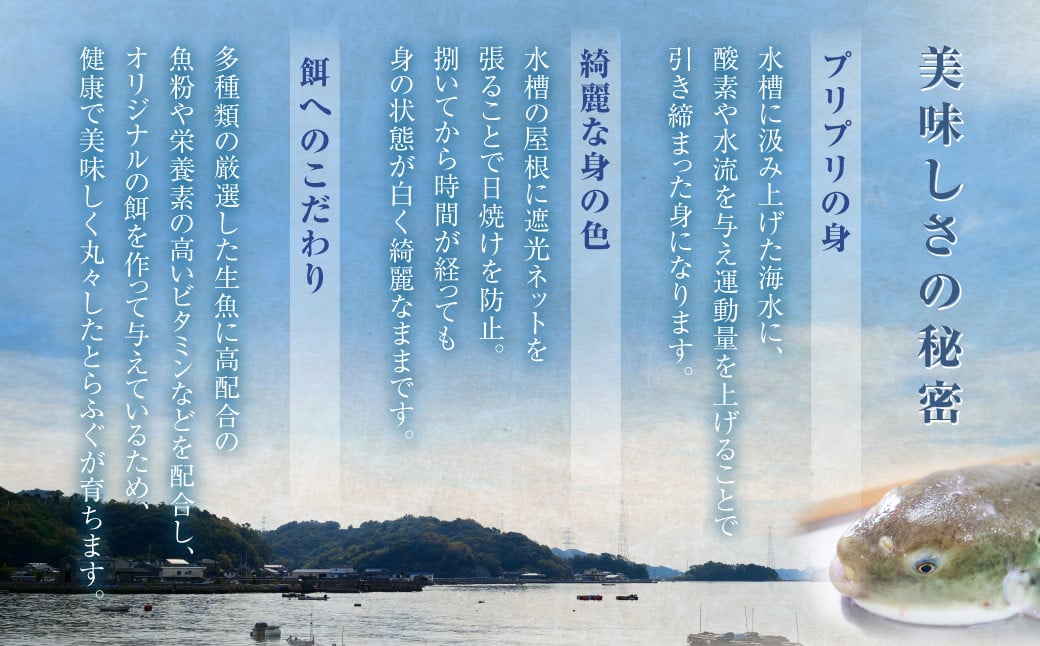 ãšããµããéãã»ãã åå®ãµããçŒãã²ã/ç¹è£œãã³é
¢/ãã¿ããããä»ãã ãµã æ²³è± ãã° ãšããµã ãã©ãã° é ãµãé éç ã²ãé
çæ¬ç äžå€©èåž