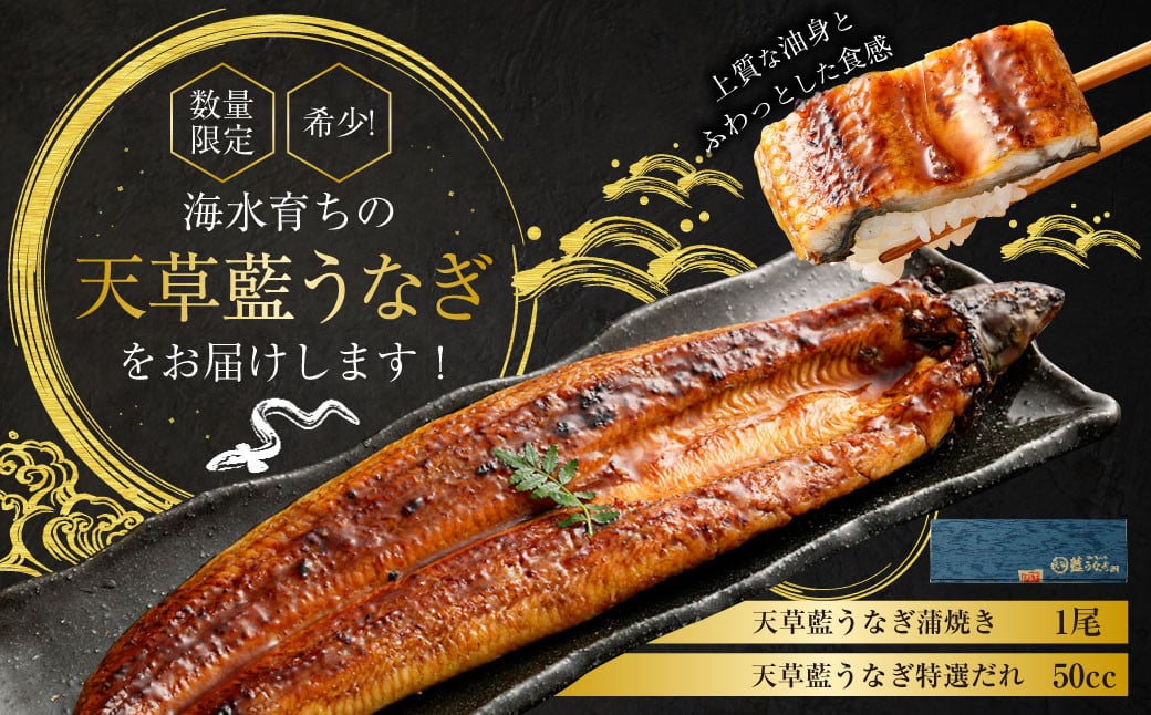 【ミシュラン星付きのプロが愛用】1日10セット限定！海水育ちの天草藍うなぎ 蒲焼き 1尾セット【合計約200g】 数量限定!! 鰻 ウナギ うなぎ うなぎ蒲焼 鰻の蒲焼 うなぎ 国産