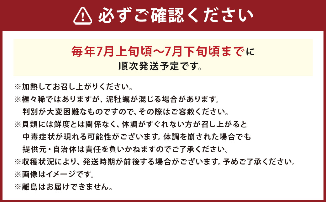 【限定100個】天草岩ガキ「初雫」約1.5kg（10～15個）加熱用 冷蔵