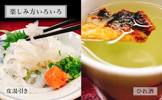 åœç£é€æ®ïŒãšããµãç°¡å調çã§å³ãããã»ãã åå®ãµã 1.3kg ãµã æ²³è± ãã° ãšããµã ãã©ãã° ç°¡å調ç åºèº« é ããæã ã²ãé
åºæ± 3ïœ4人å çæ¬ç äžå€©èåž ã2025幎10æäžæ¬ãã2026幎4æäžæ¬çºééå§ã