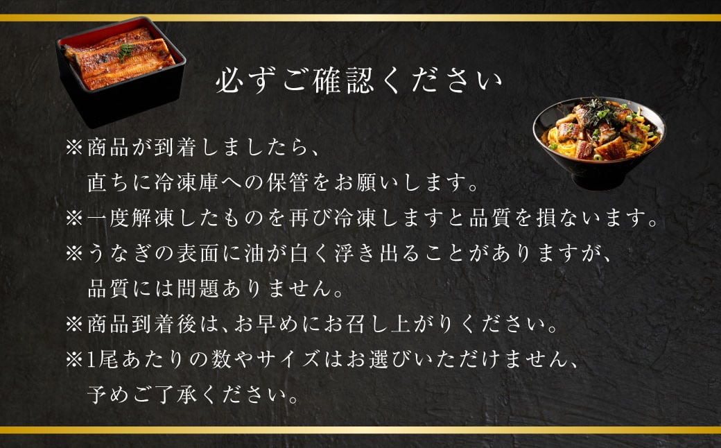 【ミシュラン星付きのプロが愛用】1日10セット限定！海水育ちの天草藍うなぎ 蒲焼き 2～3尾セット【合計約400g】数量限定!! 鰻 ウナギ うなぎ うなぎ蒲焼 鰻の蒲焼 うなぎ 国産