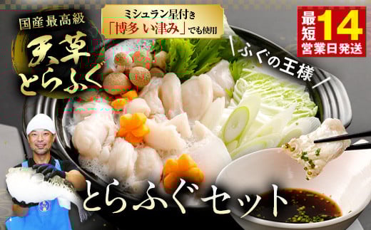 【ミシュラン星付きのプロが愛用】ふぐの王様！とらふぐ 国内最高級！天草とらふぐセット ふぐ鍋 フグ 河豚