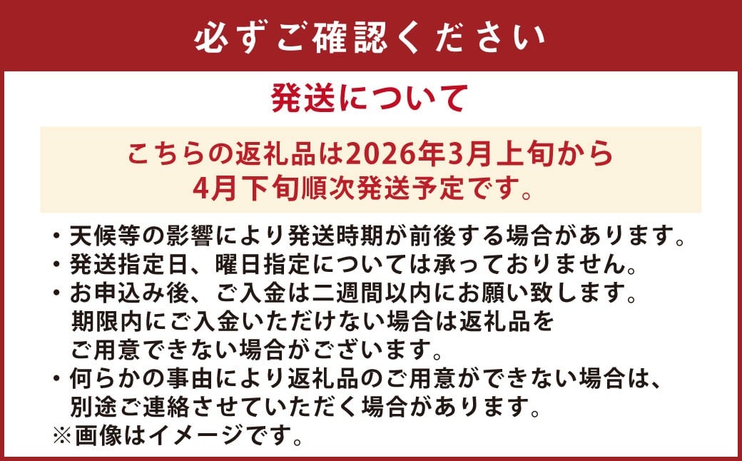 【先行受付】【数量限定】あまくさ晩柑 約9kg 晩柑 柑橘 フルーツ 果物 熊本県 上天草市【2026年3月上旬から4月下旬順次発送】