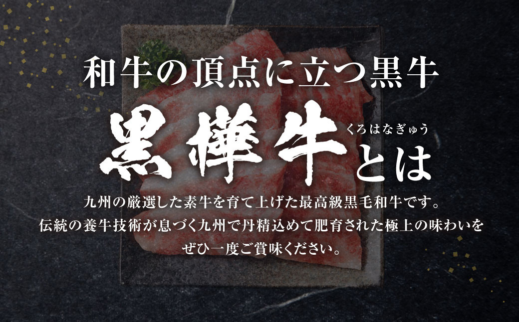 黒樺牛 焼肉用カルビ 500g（250g×2パック） お肉 肉 牛肉 ブランド黒毛和牛 和牛 黒毛和牛 ブランド牛 焼き肉 焼肉 BBQ バーベキュー カルビ 冷凍 国産 九州産 冷凍