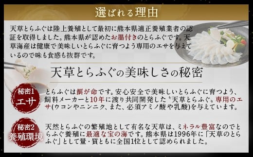 【ミシュラン2星店でも使用】ふぐの王様！とらふぐ 国内最高級！天草とらふぐセット