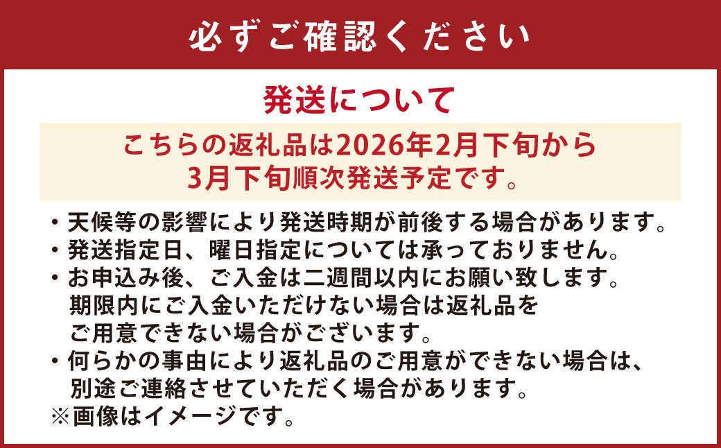 【先行受付】【数量限定】不知火 約5kg 柑橘 でこぽん デコポン 果物 フルーツ 熊本県 上天草市【2026年2月下旬から3月下旬順次発送】