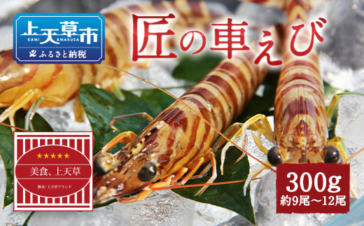 【上天草ブランド認証品】 匠の車えび【活き締め急速冷凍】300g(9尾～12尾)