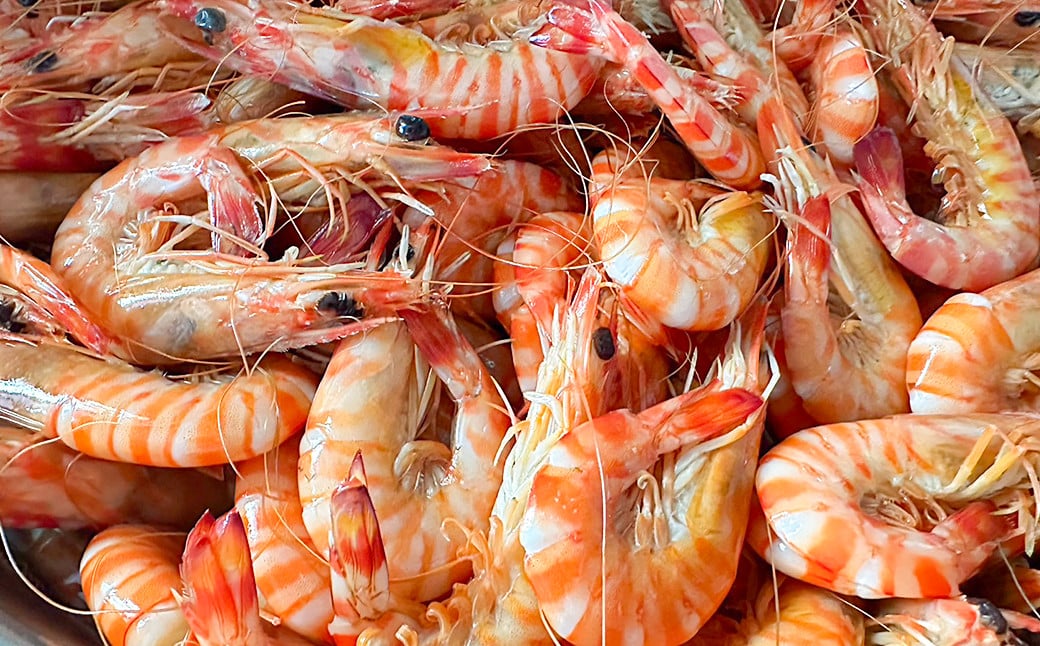 くるまえびの煮付け150g（10尾前後）×2袋 計300g 車海老 車えび 車エビ 海老 えび エビ 煮つけ 冷凍 熊本県 上天草市