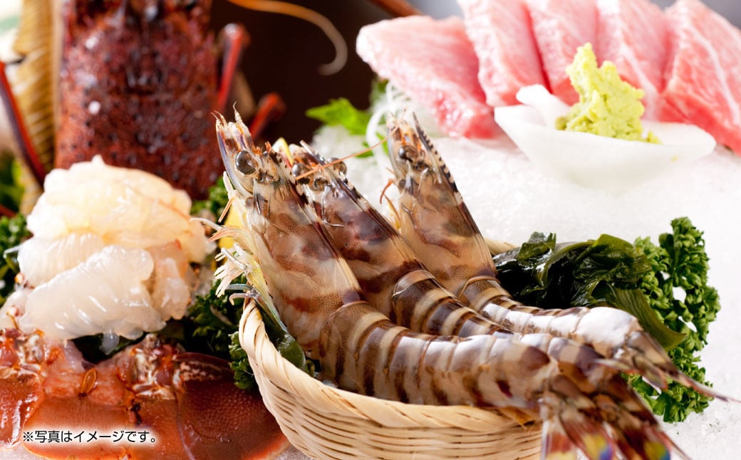 【配送指定日必須】天草産 活車海老 1000g（30〜44尾入り）【発送期間2025年11月5日から2026年3月31日】活き海老 刺身 車エビ えび 活き車海老 車えび