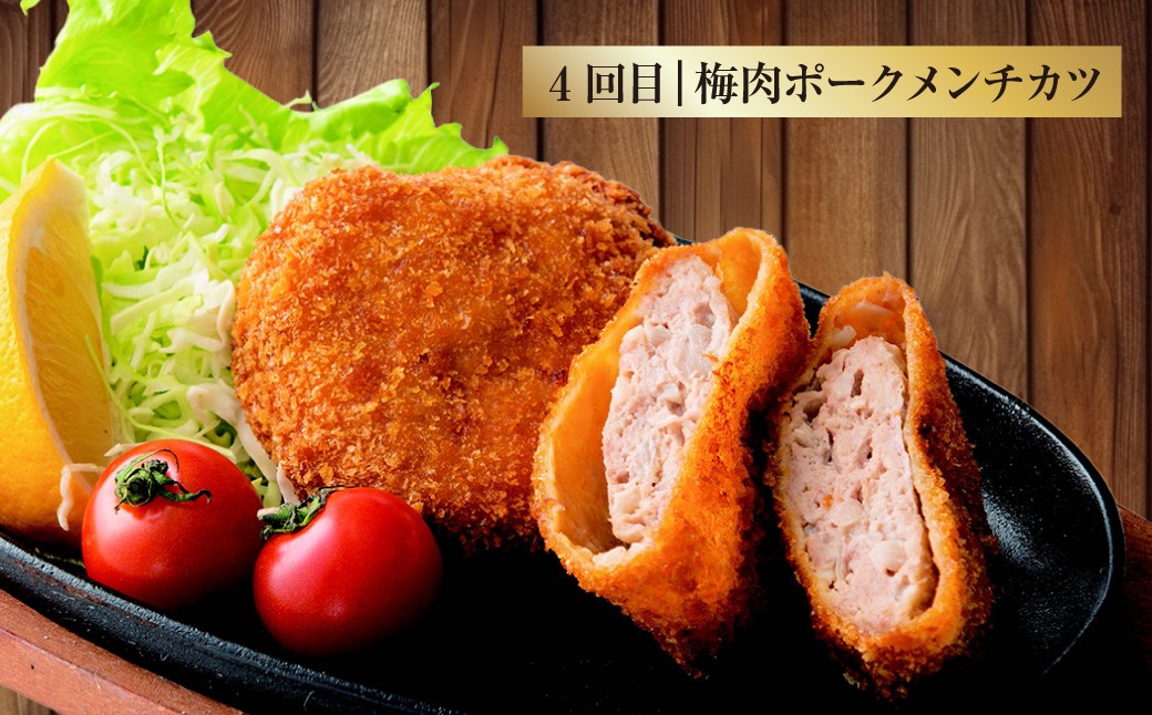 【5回定期便】ご飯の味方定期便 ハンバーグ コロッケ 大砲巻き メンチカツ 定期 定期便 5種 揚げ物 惣菜 おかず 冷凍 国産 九州産 熊本県 上天草市