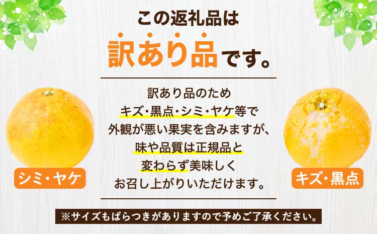 å
è¡äºçŽ çæ¬å€§èŠæ (äžç¥ç«) èš³ãã 4.5kg (13ïœ24ç) ã2026幎2æäžæ¬ïœ2æäžæ¬é çºéäºå®ã ããã¬ã ã¿ãã èæ ææ© åœç£ ä¹å· çæ¬ å®ååžç£ ãæ ªåŒäŒç€Ÿla Nui.ã