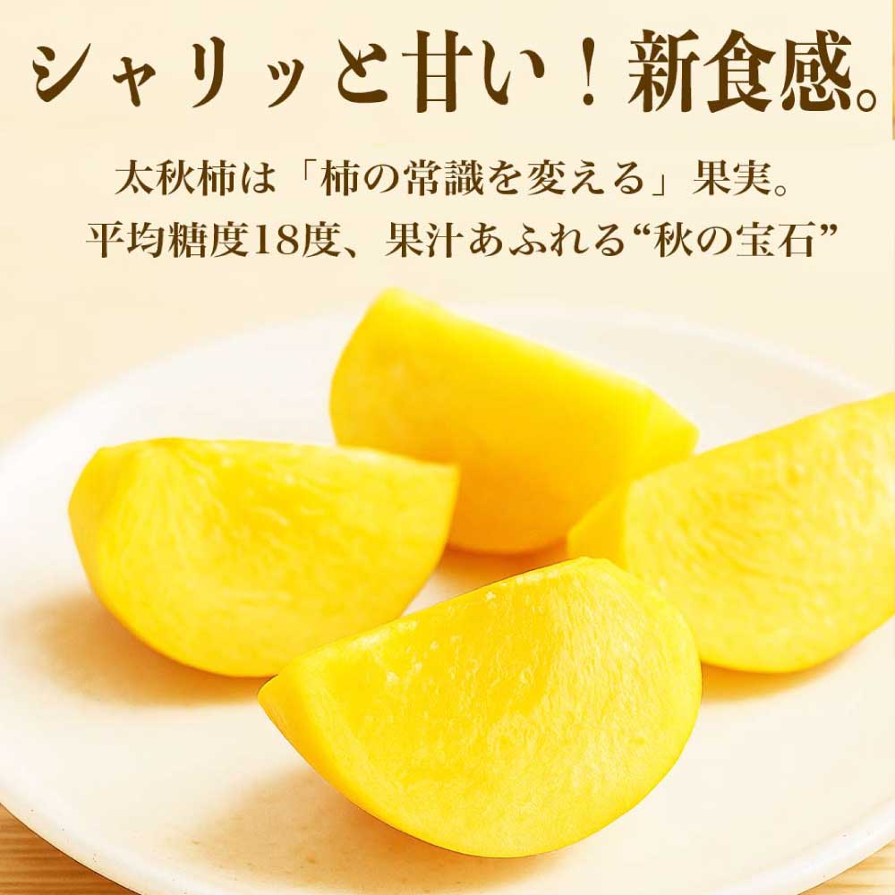 先行予約 太秋柿 約3kg (8〜15玉) 【2026年9月上旬〜10月下旬配送予定】柿 かき 果物 フルーツ くだもの 柑橘 柑橘類 フルーツ 国産 熊本 熊本県 九州 産地直送 日本フルーツ